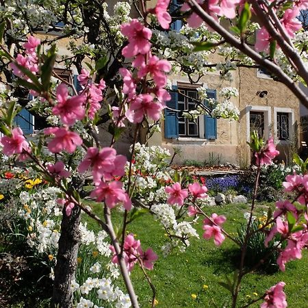 ラ・プラーニュ La Foyere Bed & Breakfast エクステリア 写真